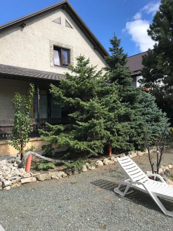 Green Villa Костинещи Екстериор снимка